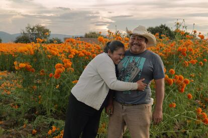 Celia Olivas abraza a su esposo Luis de Jesús, juntos cuidan los campos de cempasúchil.