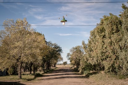 "Para que las plantas crezcan y las raíces profundicen hay que cuidarlas y abonar la tierra. Y eso se hace con bosta. Con mierda, básicamente. Acá se aprende eso: a extraer lo bueno de lo desechable, a aprovechar lo que nutre", explica Rost.