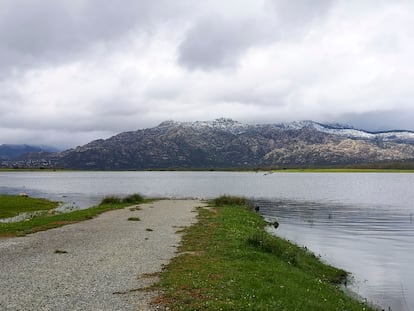 El embalse de Santillana, en Manzanares el Real (Madrid), este lunes, una de las cuatro presas que están desembolsando agua en la comunidad.