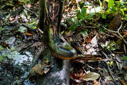 Encanamento de escoadouro próximo a um poço de petróleo. A flora e a fauna também sofreram os danos causados pela contaminação e a presença de animais selvagens na zona diminuiu drasticamente.