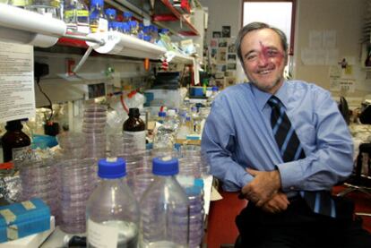 Mariano Barbacid, en el Centro Nacional de Investigaciones Oncológicas.