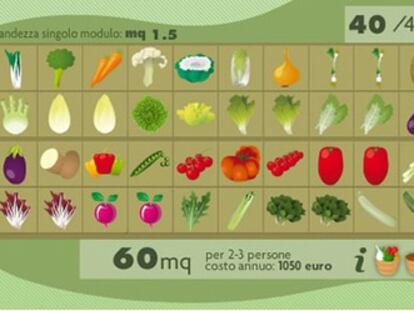 Cómo cultivar tu propio huerto sin moverte de la silla