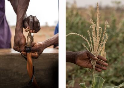 A la derecha, inflorescencia masculina de maíz en la tierra de la Unión de Agricultores Loumbilà. A la izquierda, reparación de una tubería en la misma tierra.