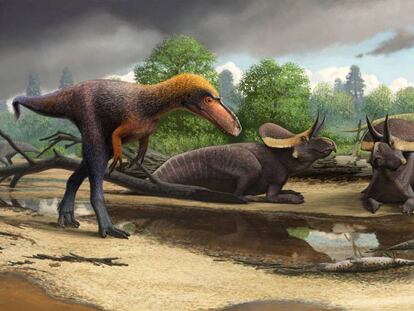 Reconstrucción del tiranosaurio 'Suskityrannus hazelae'.