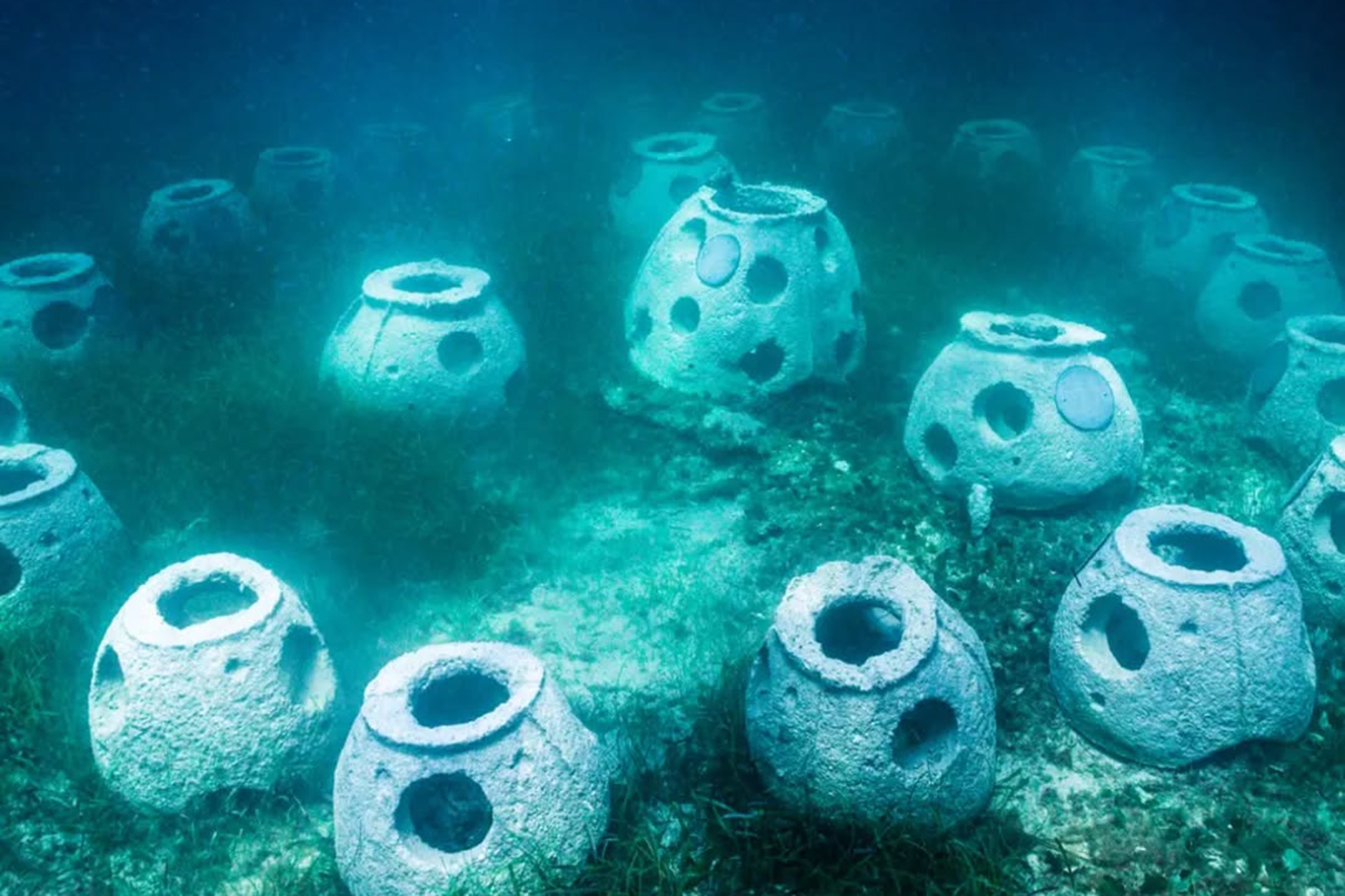 Muerte verde: las opciones de las funerarias para que la última huella no sea de carbono