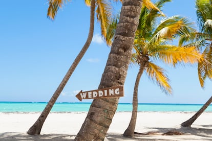 Wedding planner bodas