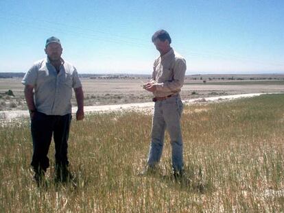 Jesús Calvo, a la izquierda, y José Ramón Agara, dos agricultores de Los Monegros, en un campo de cereal arruinado por la sequía.