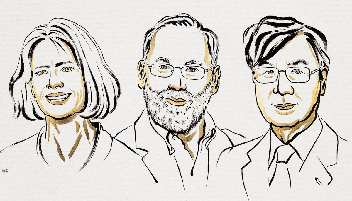 Premio Nobel de Medicina 2025 para Mary E. Brunkow, Fred Ramsdell y Shimon Sakaguchi por identificar a los “guardias de seguridad del sistema inmunológico”