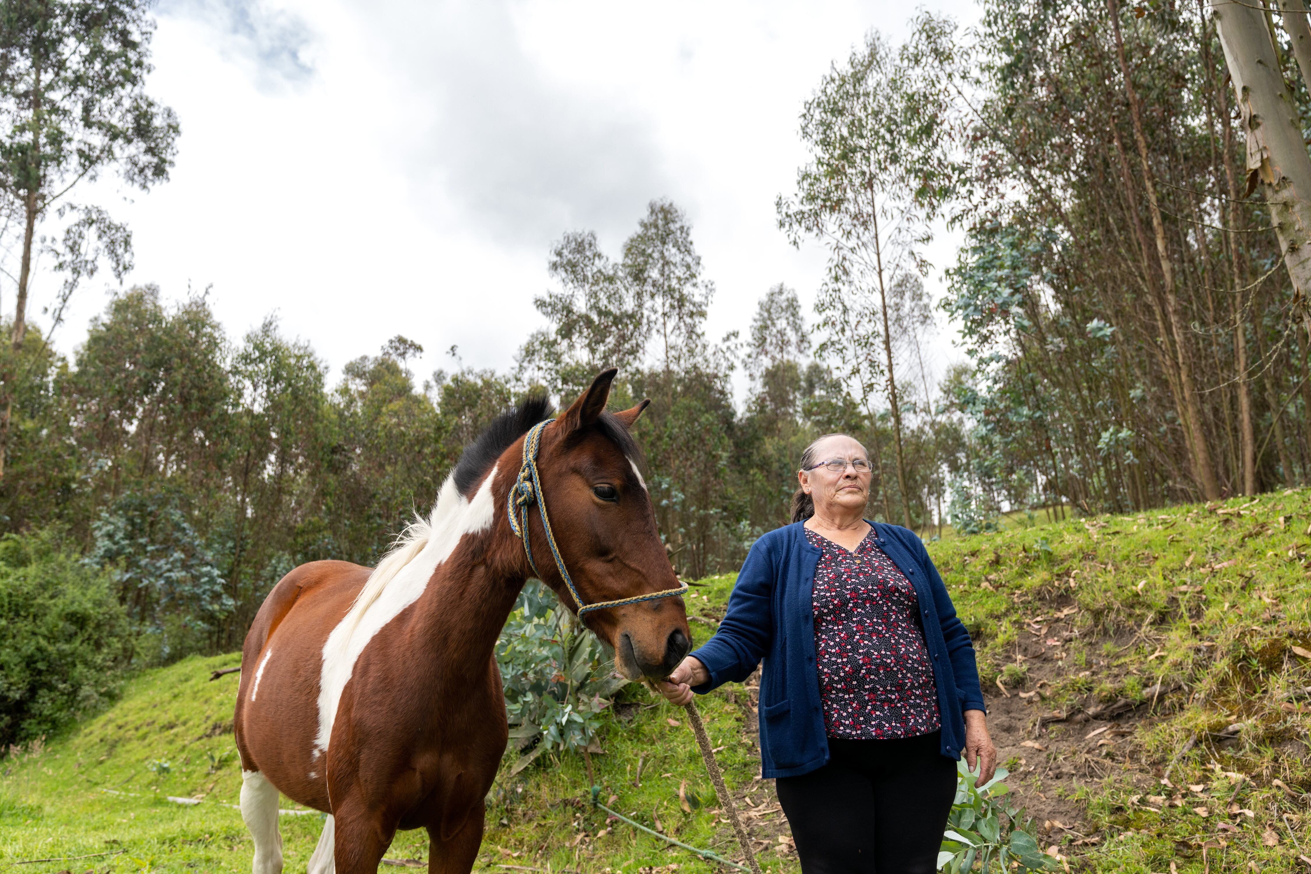 Gloria Espín, presidenta de la comunidad Ticatilín junto a una de sus yeguas.