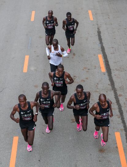 Entre las liebres han estado algunos de los mejores atletas de la actualidad, como los tres hermanos noruegos Ingebrigtsen, el etíope Salemon Barega, el campeón olímpico de 1.500m Matthew Centrowitz, Paul Chelimo, Augustine Choge o López Lomong. En la imagen, Kipchoge corre este sábado con las liebres en Viena para tratar de hacer un maratón en menos de dos horas.