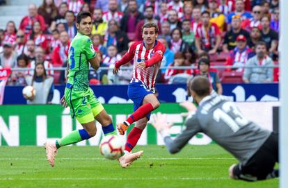 El delantero francés del Atlético de Madrid, Antoine Griezmann, intenta batir al portero del Betis, Pau López.