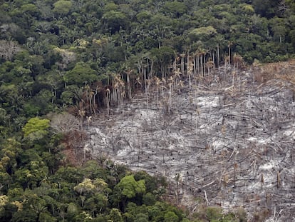 Terrenos deforestados en el parque nacional natural Tinigua, en el departamento del Meta (Colombia), el 3 de noviembre de 2020.