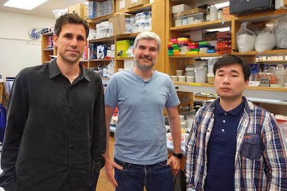 César de la Fuente, Marcelo Torres y Fangping Wan, integrante del laboratorio biotecnológico que dirige el científico español en la Universidad de Pensilvania