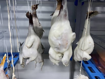 Aves recubiertas de grasa de jamón ibérico Joselito en el restaurante A´Barra. J.C. CAPEL