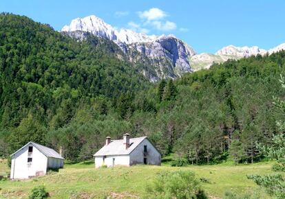 Selva de Oza