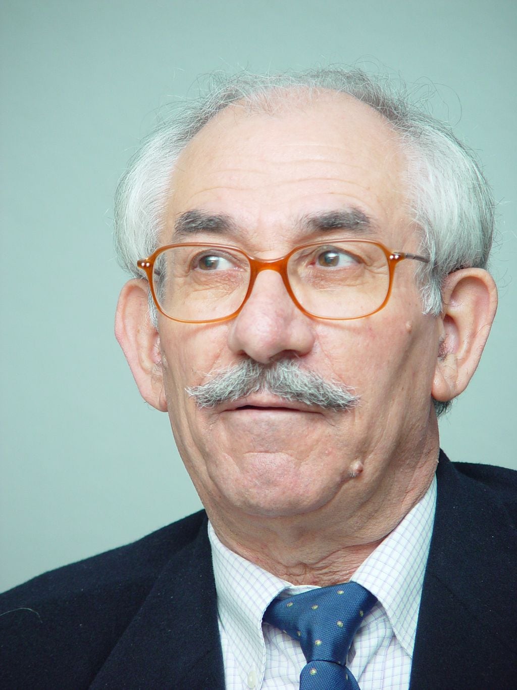 Retrato de José Martínez de Sousa.