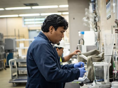 José Rodríguez observa muestras de hemoglobina en un laboratorio en COPEG, en Panamá, el 11 de junio de 2025.