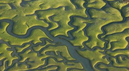 Las marismas de Do&ntilde;ana.