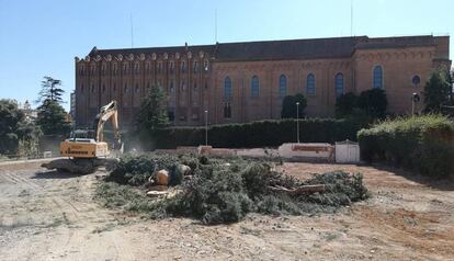 Tala del pi en el solar on es construeix un hotel.