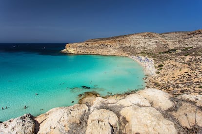 Spiaggia dei Conigli (Lampedusa, Italia). La isla de Lampedusa, el lugar poblado más meridional de Italia, en el archipiélago de las Pelagias, es conocida por arenales como Spiaggia dei Conigli (playa de los Conejos), que este año sube del décimo al octavo puesto en la lista de TripAdvisor. Allí acuden cada año a desovar las tortugas bobas. 
