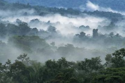 Panorámica de los montes Mayas desde Lubaantun, en Belice.