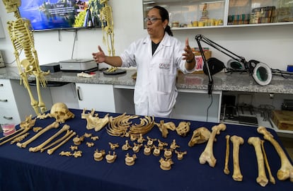 Una investigadora analiza osamentas.