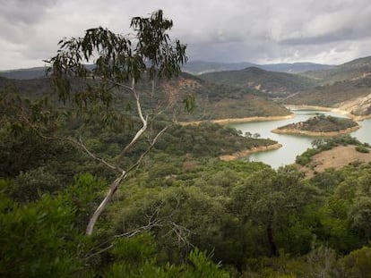 Finca La Almoraima, en Castellar de la Frontera (Cádiz)