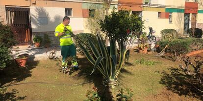 Un trabajador cuidando un jardín en Utrera (Sevilla).