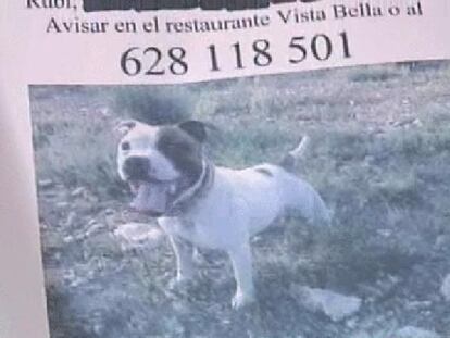 La policía investiga a una banda especializada en el robo de perros en Alicante