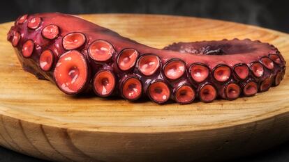 Freshly cooked octopus served on a wooden plate, a traditional Galician dish called "pulpo a feira". Octopus is still hot