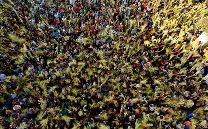 Devotos católicos agitan sus hojas de palma durante la misa del Domingo de Ramos en Bulacan (Filipinas).