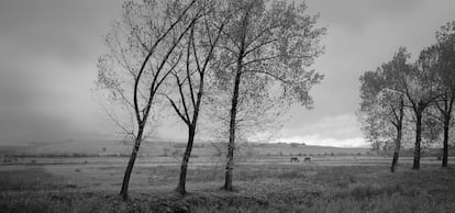 Shiroka, Planina, Bulgaría, 2003. Fotografía incluida en la muestra 'Miniaturas' de Pentti Sammallahti.