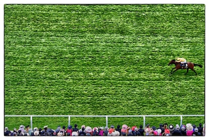 El jockey italiano Andrea Atzeni compite junto a su caballo 'Cursory Glance' en Ascot, 20 de junio de 2014.