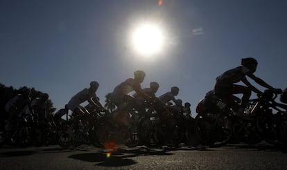 Pelotón de ciclistas, durante el Tour de Catar.