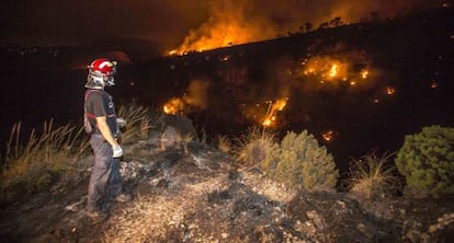 Un bombero observa el incendio forestal en el Cañón de Almadenes, uno de los tres focos activos en la localidad murciana de Cieza.