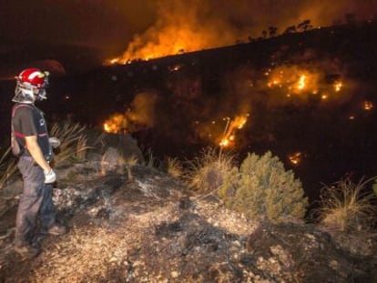 Un bombero observa el incendio forestal en el Ca&ntilde;&oacute;n de Almadenes, uno de los tres focos activos en la localidad murciana de Cieza. 