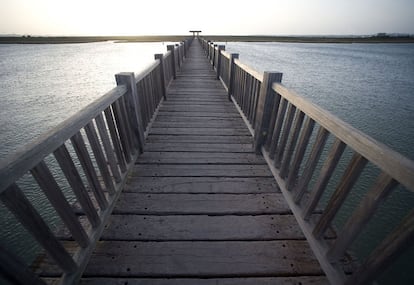 Parque de los Toruños, Cádiz