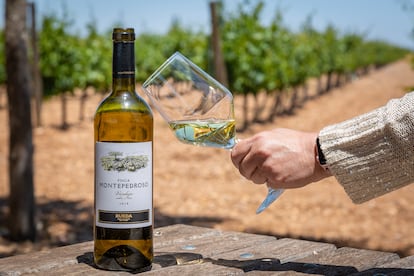 Los vinos de Finca Montepedroso se elaboran exclusivamente con variedad Verdejo.