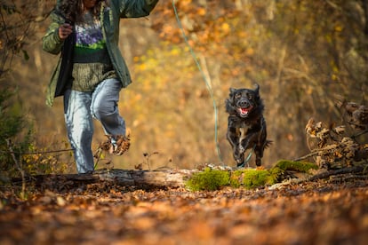 Una mujer corre junto a su perro en un bosque.