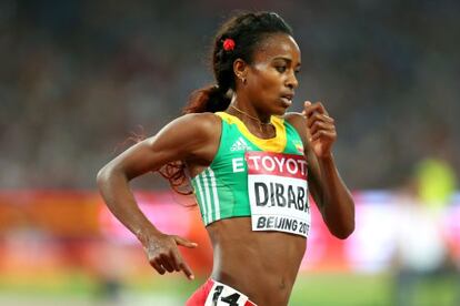 Genzebe Dibaba, en la final de 5.000.