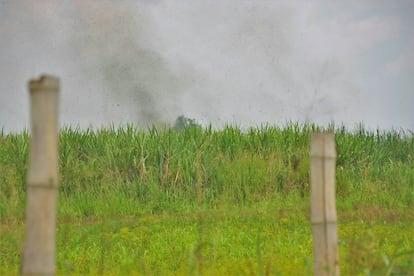 La ceniza que resulta de la combustión de la caña se llama pavesa, y se cuela en las casas, mancha la ropa tendida y, si no provoca, empeora enfermedades respiratorias.