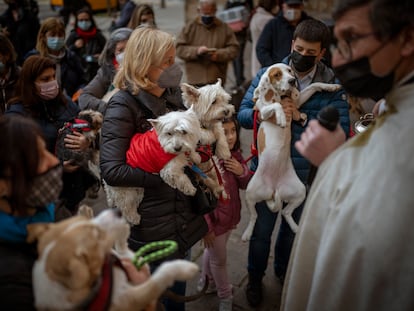 Decenas de personas acuden a bendecir a sus mascotas en la iglesia de San Antonio, el año pasado en Barcelona.