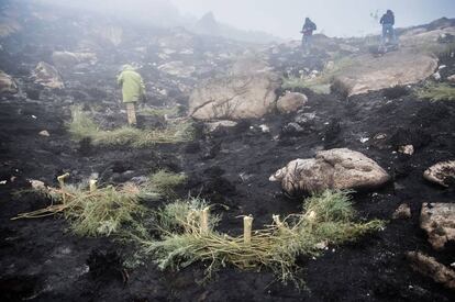 Voluntarios trabajan en la sierra de San Mamede colocando barreras vegetales contra el arrastre de cenizas.