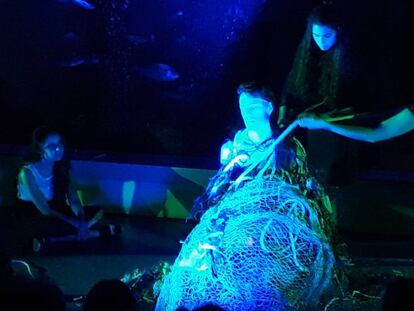 'Performance' en el Aquarium Finisterrae.