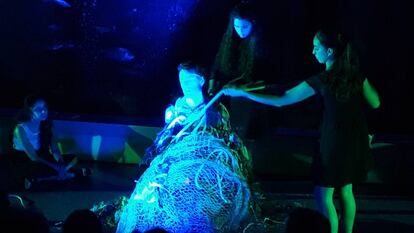 'Performance' en el Aquarium Finisterrae.