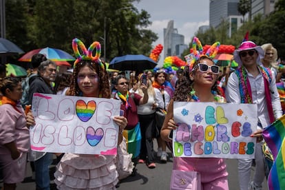 Los asistentes portaron carteles sobre el respeto a la diversidad durante todo el recorrido. 