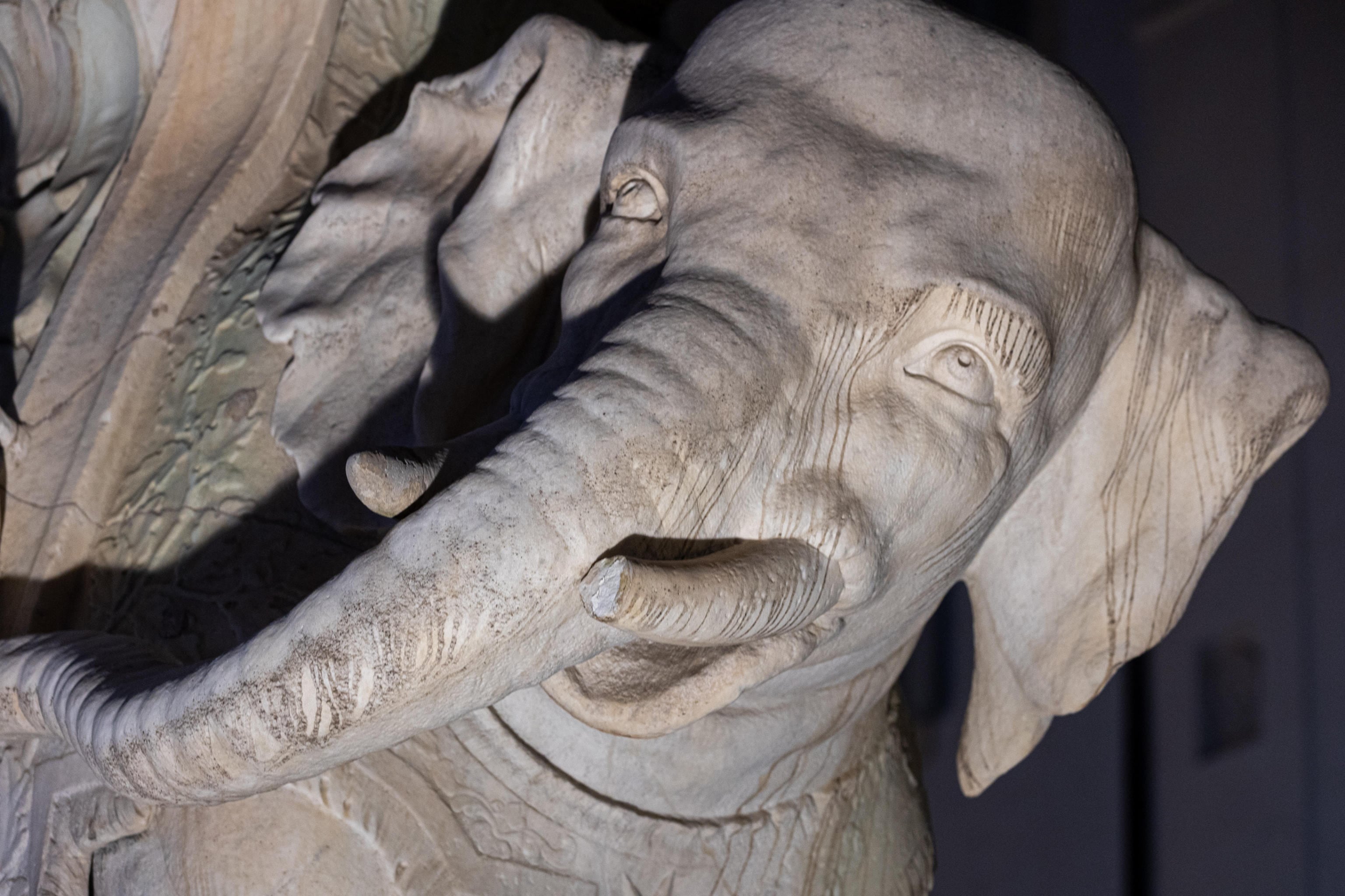 L'elefante di Bernini a Roma perde un altro colmillo