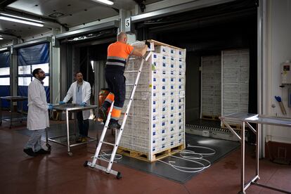 Un trabajador coge una caja al azar para que la revisen los inspectores en el puerto de Algeciras, este viernes.