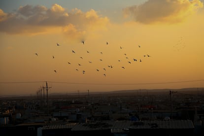 Atardecer en el campamento de Zaatari en Jordania, donde viven 80.000 refugiados sirios.