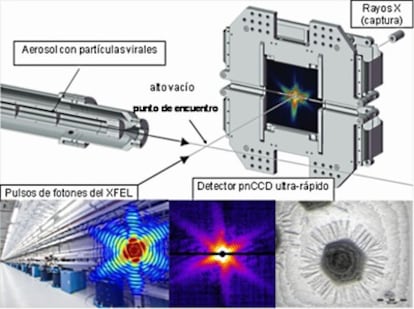 Resumen visual de los experimentos de Hajdu y colaboradores. Los fotones emitidos por el láser de electrones libres en el XFEL de Stanford, California (abajo izquierda) encuentran las partículas víricas, de acuerdo con el dispositivo experimental representado en el panel principal (arriba centro). El patrón de difraccion de una sola partícula vírica se muestra en el panel central (abajo) y la reconstrucción artística de la estructura del mimivirus se muestra a la derecha.